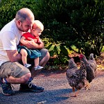 Photo Post: Parker meets the Isaiah House chickens