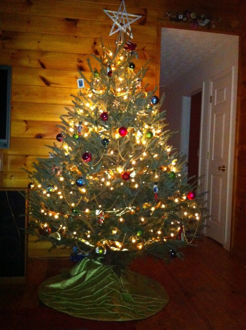 Isaiah_House_Live_Christmas_Tree_